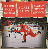 Carolina Hurricans Hockey Display 1